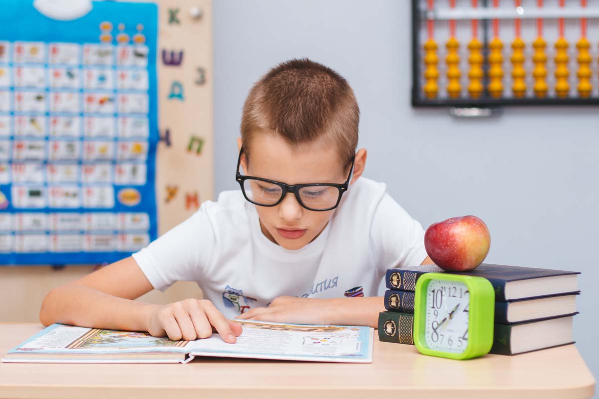 школы интеллектуального развития